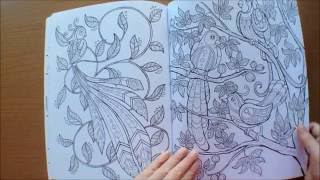 Keep Calm and Color: Birds of Paradise by Marica Zottino Colouring Book Flipthrough Keep Calm and Color: Birds of Paradise by Marica Zottino Colouring Book Flipthrough