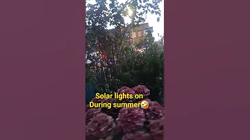 SOLAR LIGHTS ON DURING SUMMER 