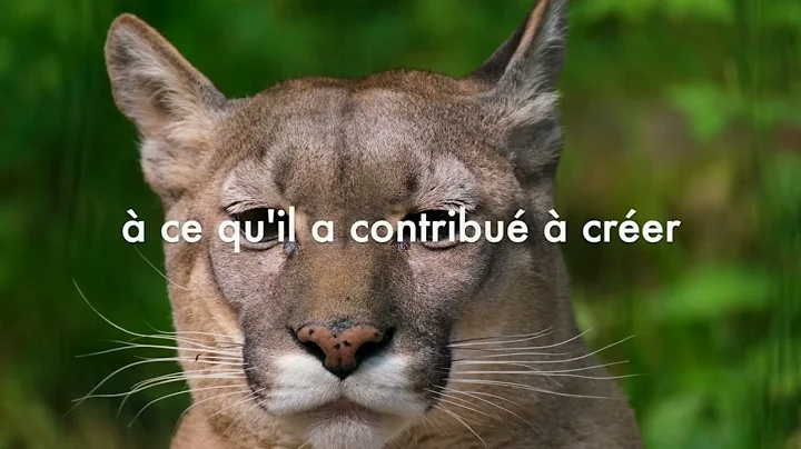 Le rythme parfait - texte de Dawn is near