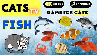 CATS TV - Realistic Fish Swimming 🐝🐞🦋🦎🦜🐜🐭🧵 (Game For Cats to Watch) NO ADS 🦎4K HDR 60FPS