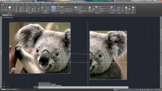Aligning Images Guide