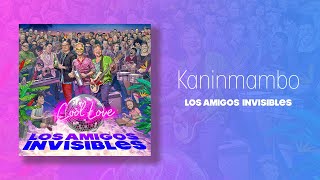 Video thumbnail of "Kaninmambo  Los Amigos Invisibles"