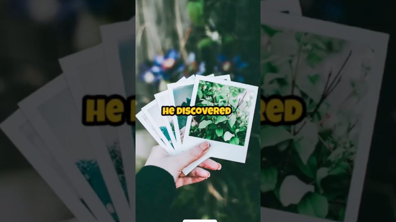 The Midnight Veil: A Night of Supernatural Horrors. Part-3