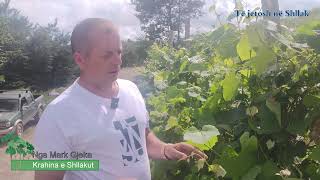 Të Jetosh Në Shllak