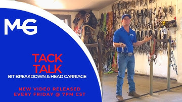 Bit Breakdown & Head Carriage | The Horse Guru - Michael Gascon
