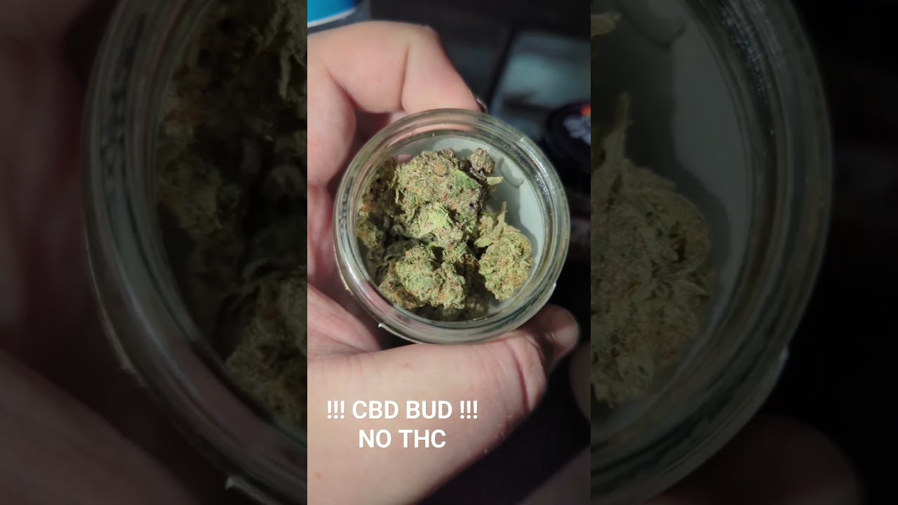 batman IceCream cake CBD BUD NO THC