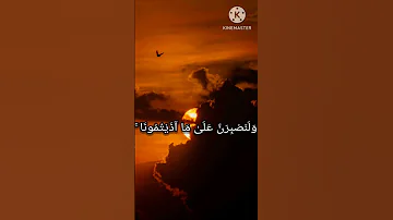 وما لنا الا نتوكل على الله وقد هدانا سبلنا 