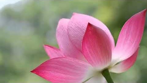 تلاوة نادرة /سورة الطارق أجمل قراءة لعبدالباسط عبدالصمد