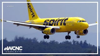 Famous Spirit Airlines adds nonstop flight out of Charlotte Wealth