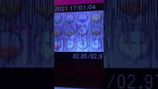 Playhouse Disney Original Logo In Green Lowers