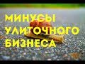 Минусы улиточного бизнеса | улиточная ферма | Xellix Aspersa Muller | Maxima | Португалия | Равлик |