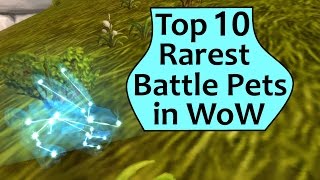 Rarest Pets in WoW - Top 10 Rarest Battle Pets in World of Warcraft
