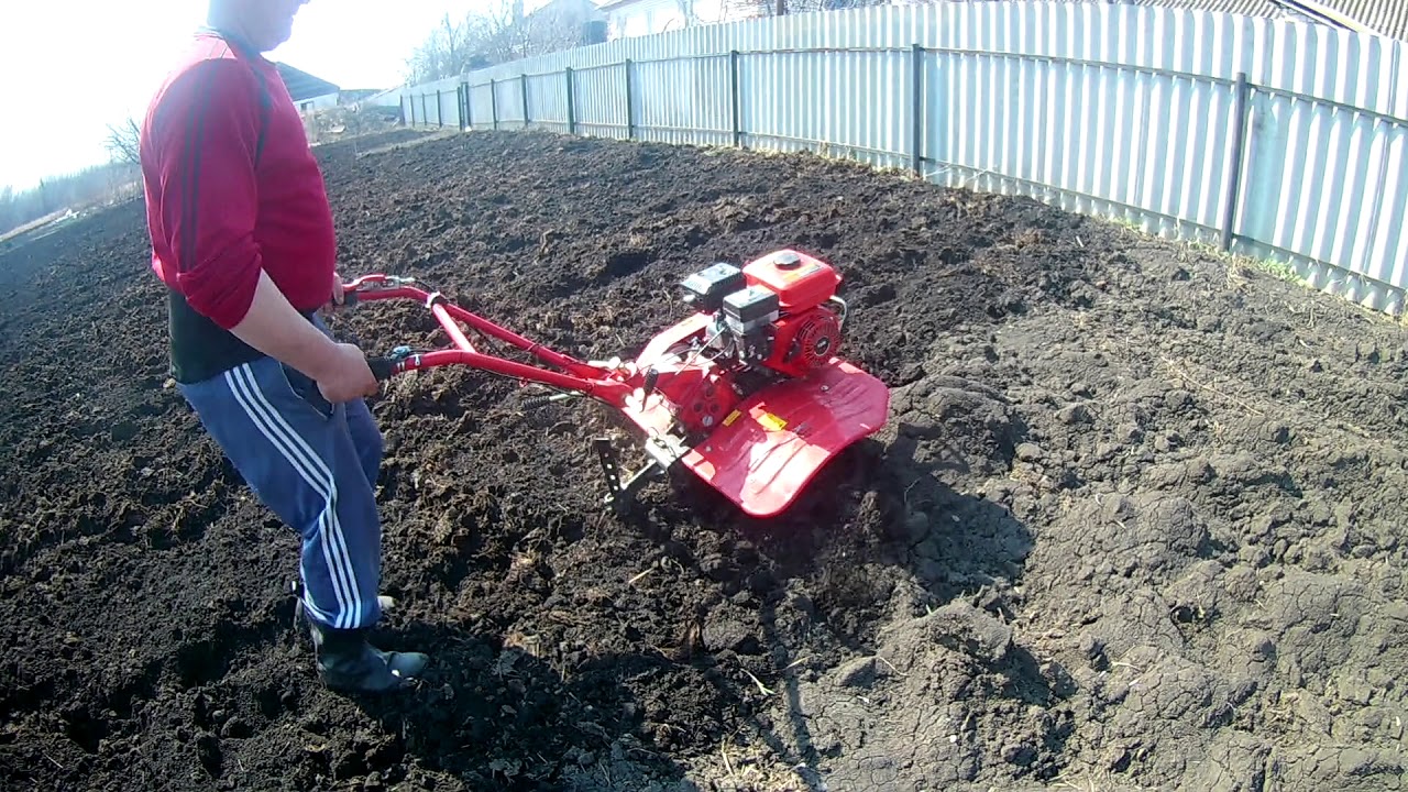 Мотоблок Фазенда, культивирование огорода - YouTube