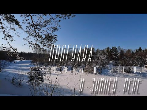 Великолепие природы: прогулка к зимней реке 🕸 #активныйотдыхвподмосковье