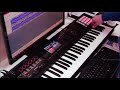 Haddaway - What is love COVER (Roland FA06 lazy sunday one take edition :D )