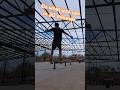 It feels good to land a few trick even when crunched for time. #toooldtobail #skateboarding #skate