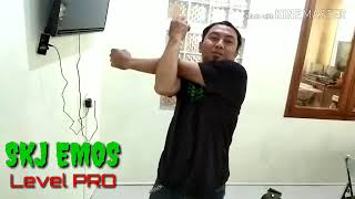 SKJ EMOS LEVEL PRO (SENAM LENTUR) screenshot 5