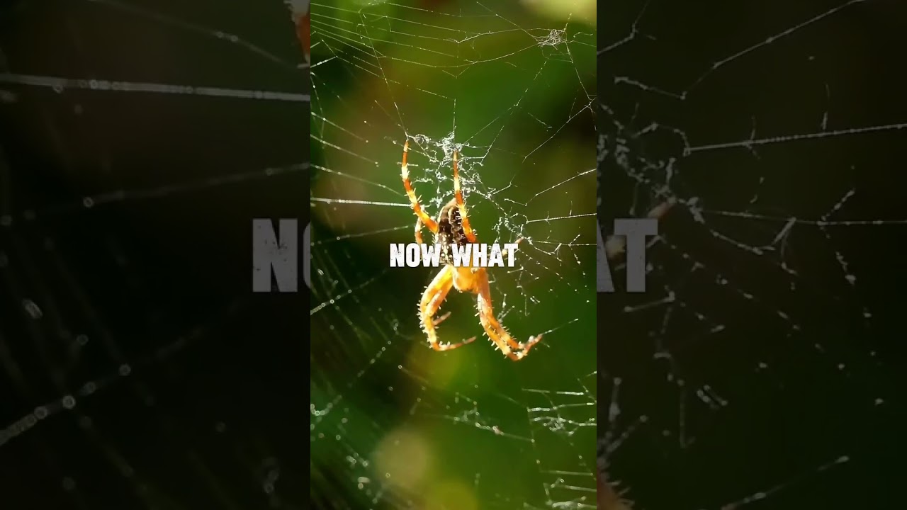 Nurturing - Original Spoken-Word 🗣️ Poem