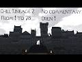 Oren chill lvling 1 - Chill Lineage 2 #100 - Level 45