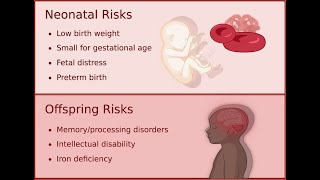 Anemia of Prematurity or low red blood cell count in Preterm Babies ;  Causes, symptoms, Treatment