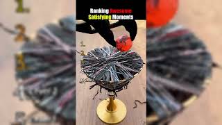 The Ultimate Stress Reliever: Satisfying & Funny Fails