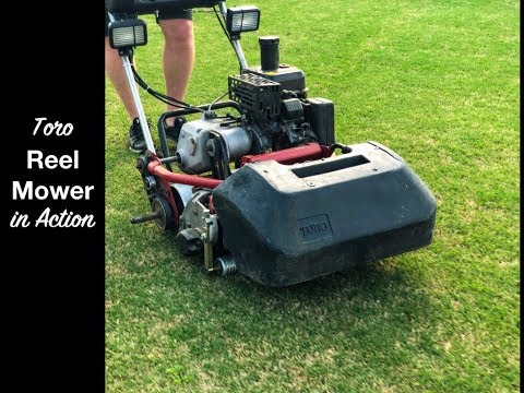 REEL MOWING || TORO FLEX 21 IN ACTION-SPRING 2019 || The Southern Reel Mower