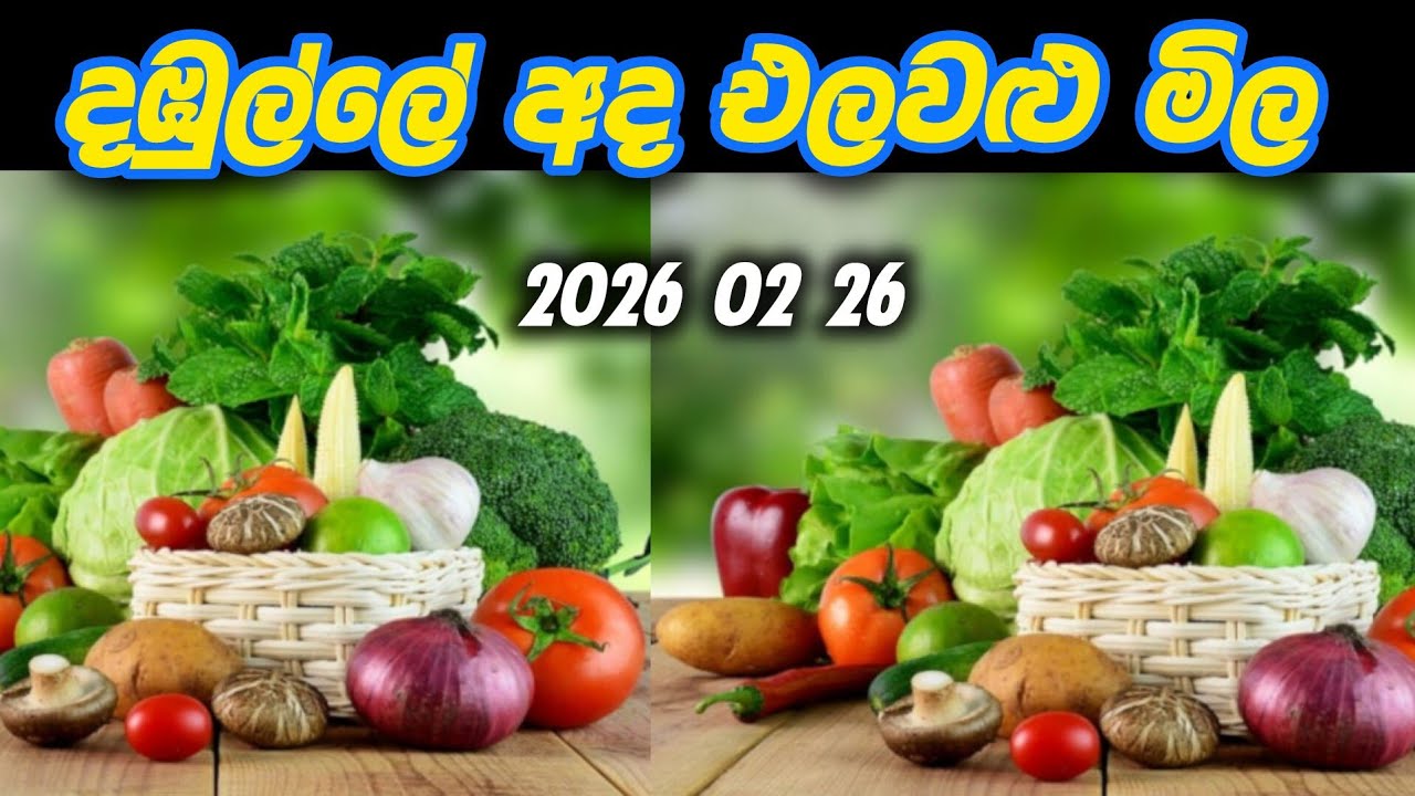 දඹුල්ලේ  අද  එලවළු  මිල  2026 02 26👇👇