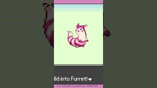 SHINY FURRETTTTT!!!! | #cheakyprincess on #Twitch