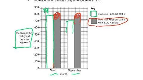 9700/M24/42 VIDEO 2 Q4 Q5 Q6 EXPLAINED