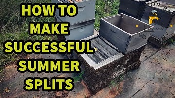 How To Make Successful Summer Splits