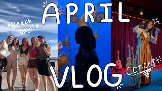 April Vlog|Senior Year On Film