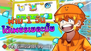 ฟามเพชร 1 วัน จะได้ 100M มั้ย ?  l Pet Simulator 99