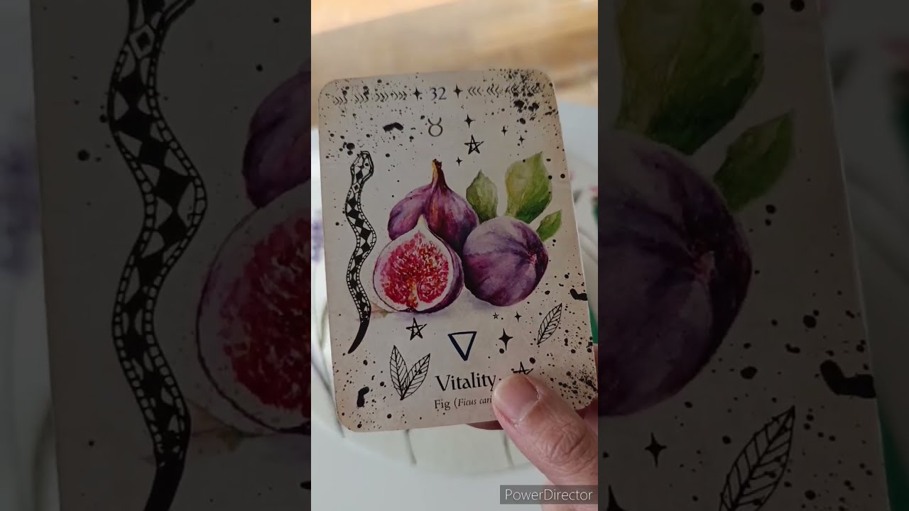 Domenica 8 marzo ✨☕ la carta del giorno 💖✨ tutti i segni ♈♉♊♋♌♍♎♏♐♑♒♓