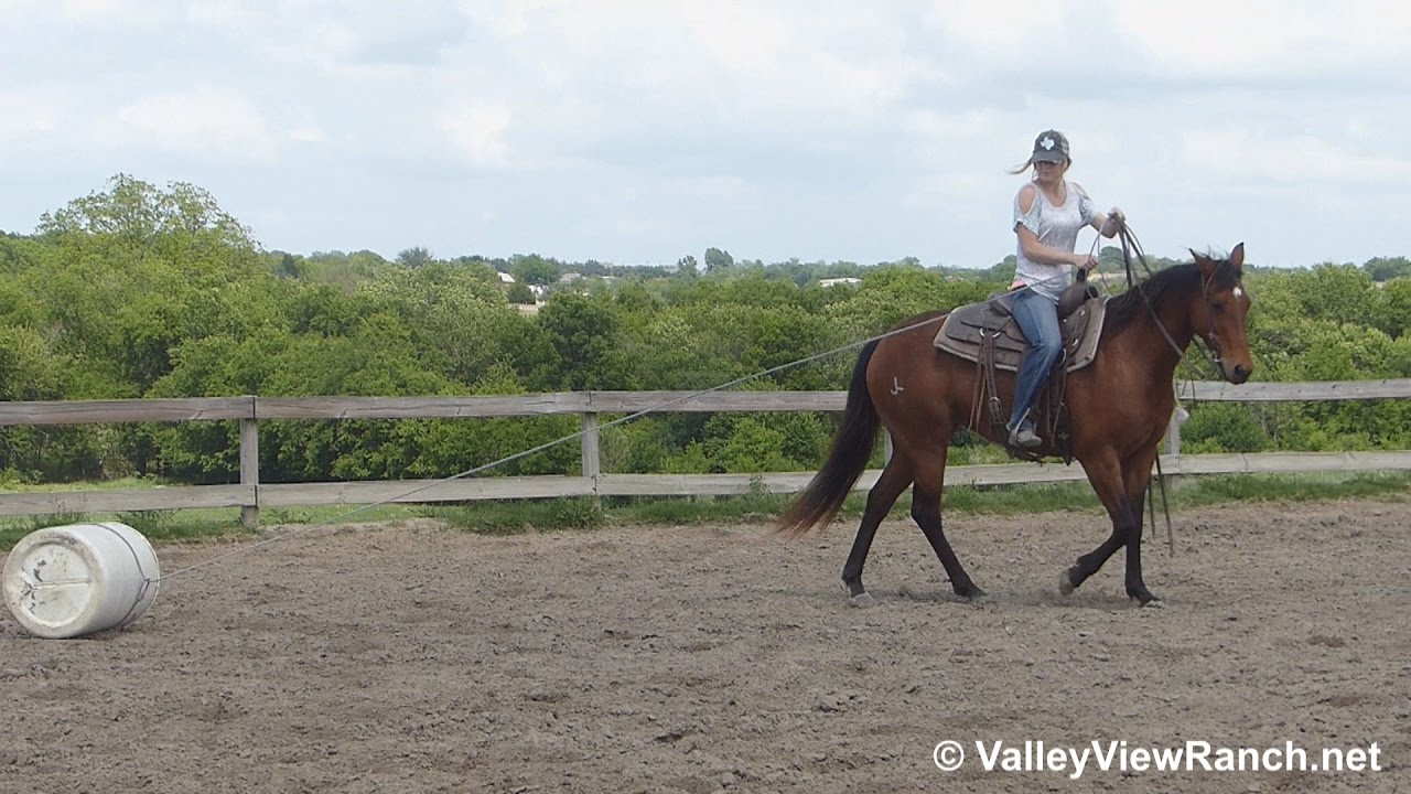 Snappy Style Tracker roping YouTube