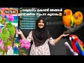 Home Aviary Making Video|Birds aviary malayalam|Aviary Making Video Malayalam |Bird cage|Aviaries