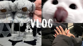 :  (  ) 
