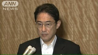 岸田外相　来月中旬にウクライナ訪問で調整(14/06/18)