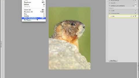 Capture NX2: Versions