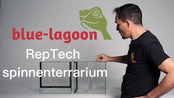 RepTech Spinnenterrarium Line | Blue-Lagoon Maassluis