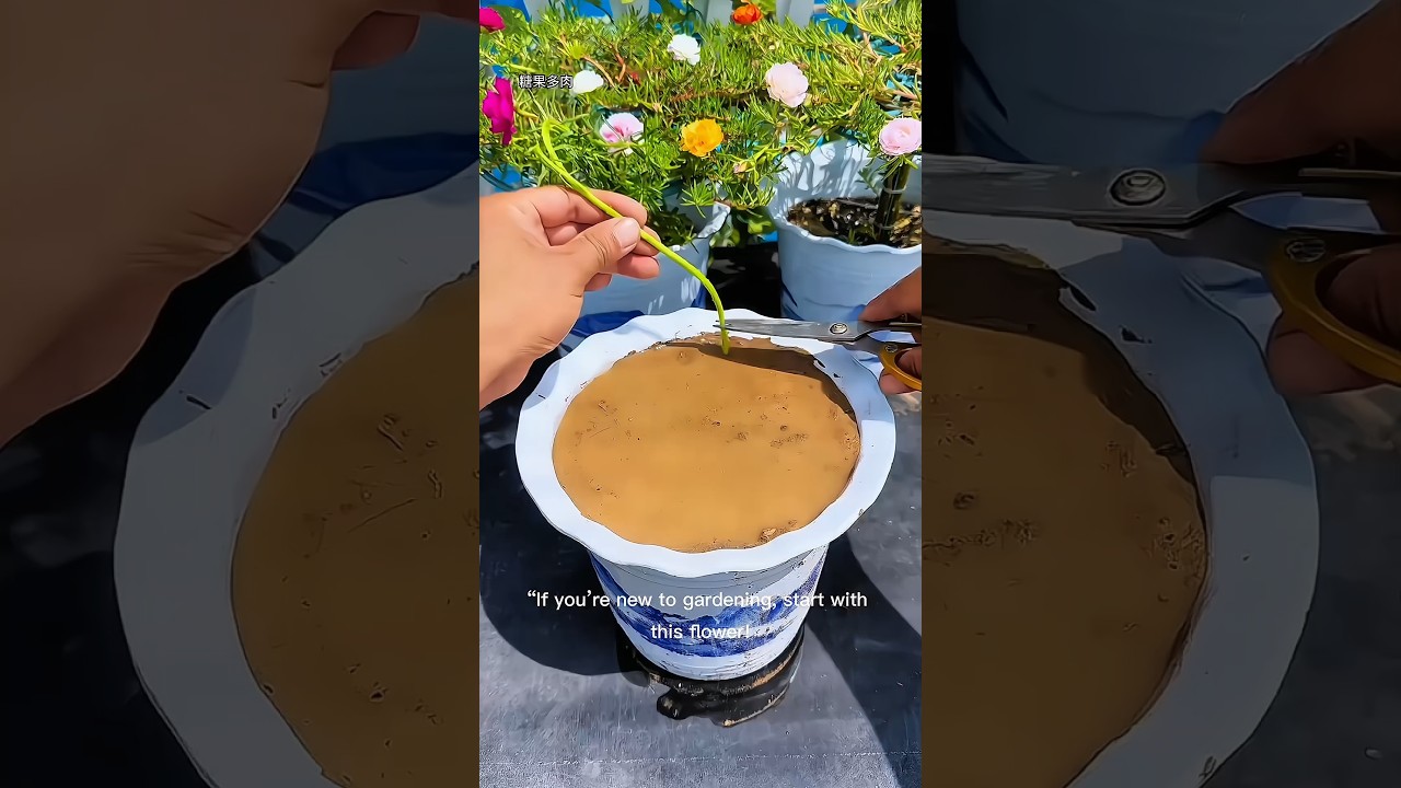 Stop Killing Your Summer Plants! Grow This Instead 🌸 