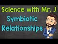Symbiotic Relationships in Nature: Exploring Mutualism Commensalism and Parasitism