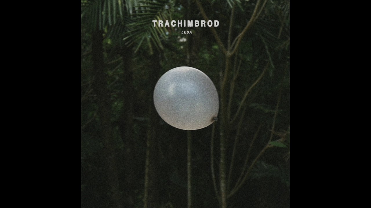 Ver Trachimbrod - Medskyldighet no YouTube Ver Trachimbrod - Medskyldighet no YouTube