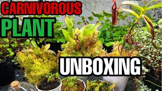 MEAT EATING PLANTS?! Carnivorous Plant UNBOXING!