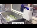 NeuKocyte HClO Generator Food Industry NeuKocyte HClO Generator Food Industry