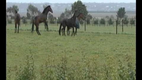 Danny O'Brien Facilities