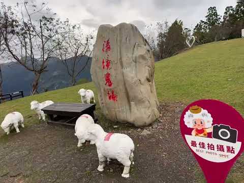 台湾????????南投县合欢山清境的青青草原????羊????群????彰化市洞顶乌龙茶，金竹味????台菜料理，鹿港桂花巷艺术????村，老街妈祖天后宫，台????️市彩虹????眷村，逢甲夜市?