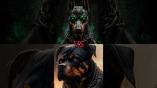 DOBERMAN VS rottweiler, wolfdog,pitbull, kangal #shortvideo