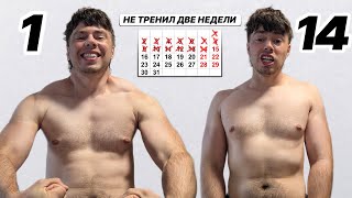 Что случилось после двух недель без тренировок?