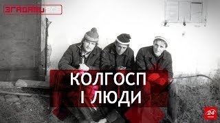 картинка: Колгоспи: агробізнес по-радянськи, Згадати Все