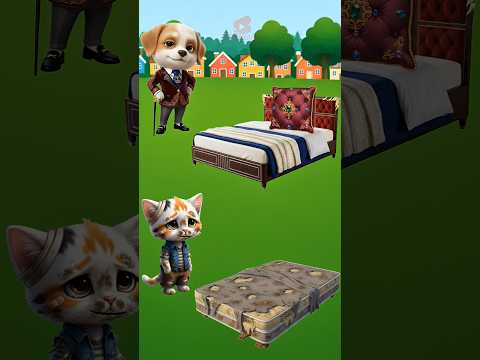 Every Kitty Deserves A Cozy Place To Sleep Cat Catvideos Catlovers Cutecat